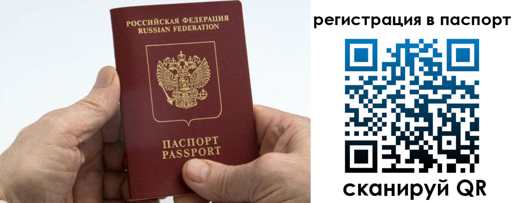 купить прописку в Вельске